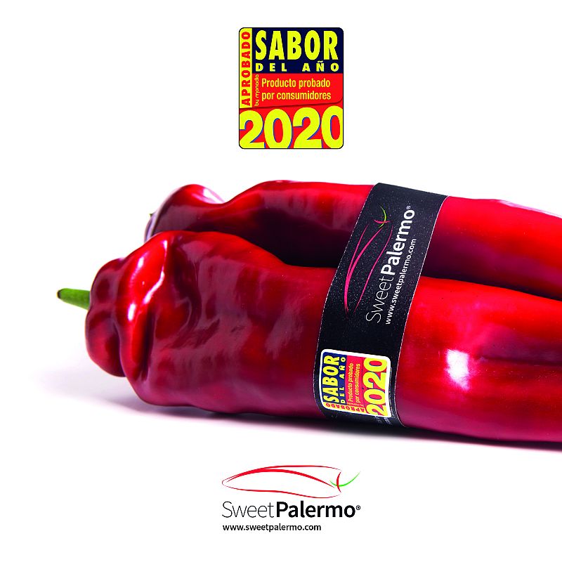 Hortidaily : Sweet Palermo reconnu Saveur de l’année en 2020 en Espagne
