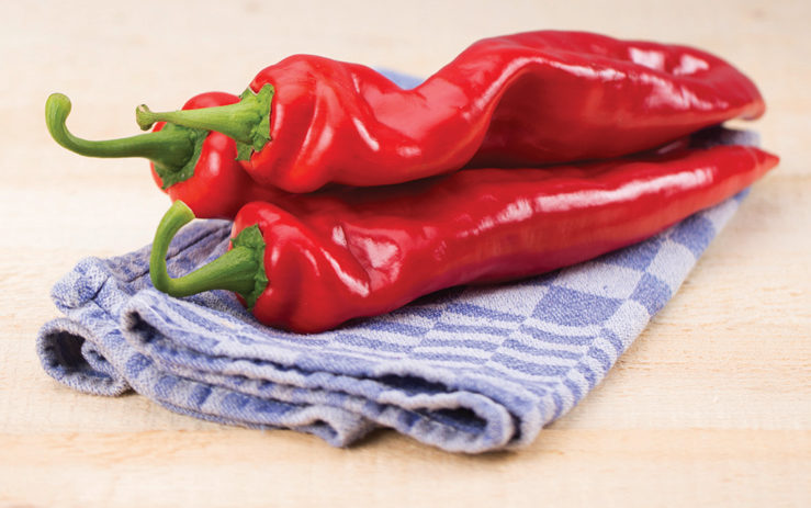 Eurofruit magazine: Sweetening the pepper deal