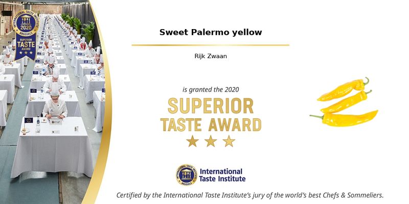 Hortidaily: Yellow Sweet Palermo awarded highest possible rating by International Taste Institute